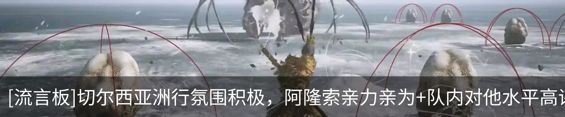 最新动态